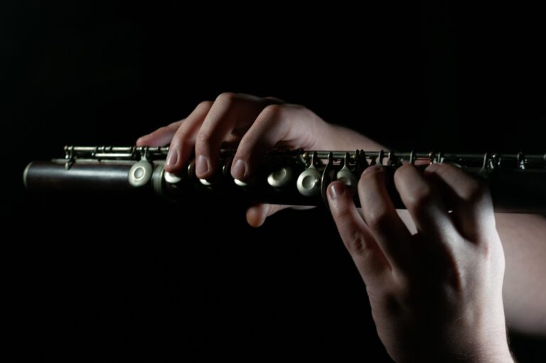 Flauta Travesera